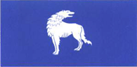 Флаг города Волковыск и Волковыского района (Беларусь)
